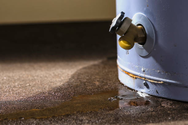 Best Carpet water damage restoration  in Birch Run, MI