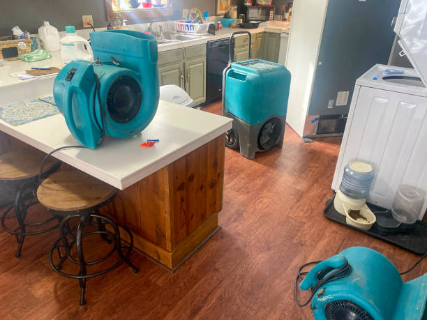 Best Water damage contractors near me  in Birch Run, MI