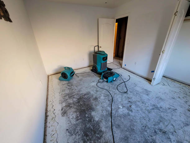 Best Flooded house restoration  in Birch Run, MI