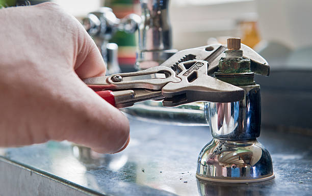 Best Flood restoration services  in Birch Run, MI