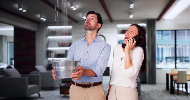 Best Emergency water damage restoration  in Birch Run, MI